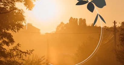 January 2026 Real Estate Roundup